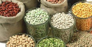 indian pulses 1093870